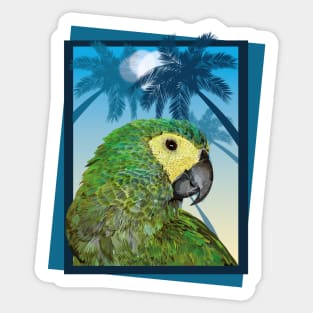 red-bellied macaw Sticker